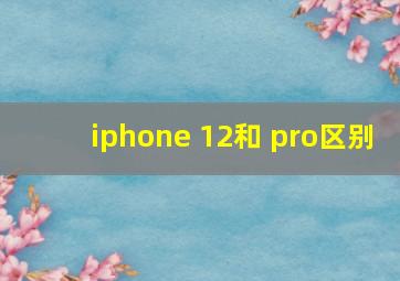 iphone 12和 pro区别